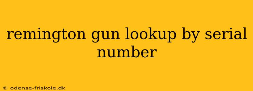 remington gun lookup by serial number