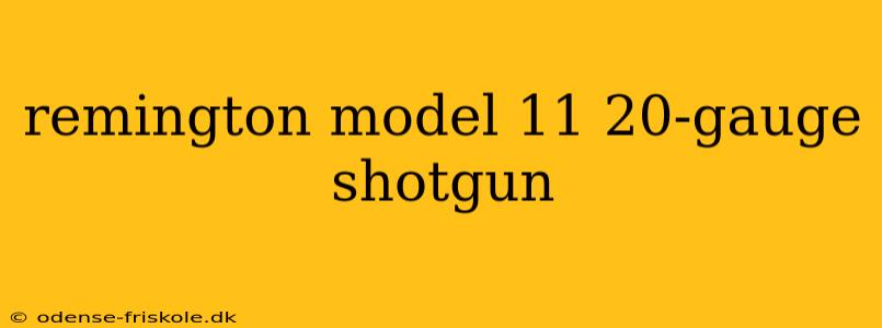 remington model 11 20-gauge shotgun