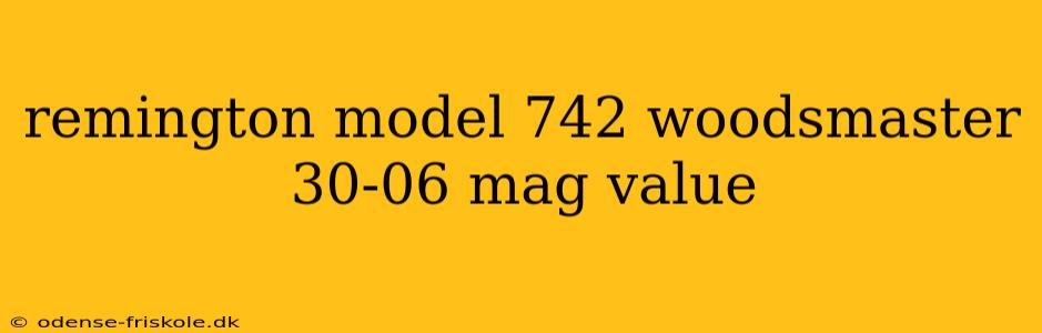 remington model 742 woodsmaster 30-06 mag value