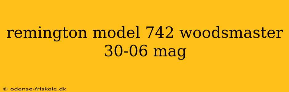 remington model 742 woodsmaster 30-06 mag