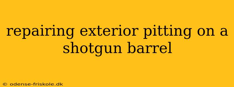 repairing exterior pitting on a shotgun barrel