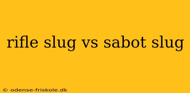 rifle slug vs sabot slug