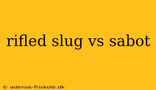 rifled slug vs sabot