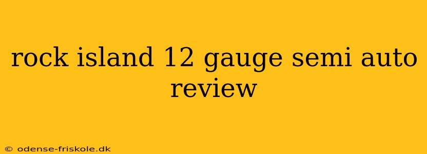 rock island 12 gauge semi auto review