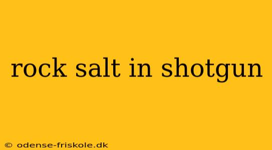 rock salt in shotgun