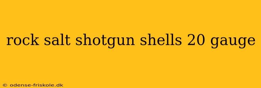 rock salt shotgun shells 20 gauge