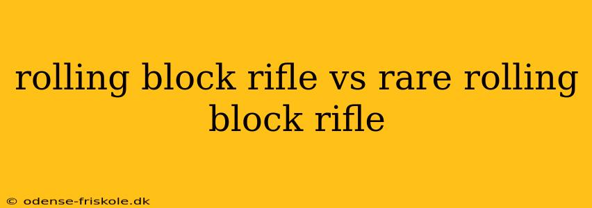 rolling block rifle vs rare rolling block rifle