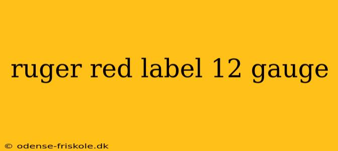 ruger red label 12 gauge