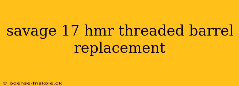 savage 17 hmr threaded barrel replacement