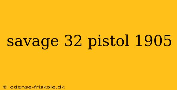 savage 32 pistol 1905