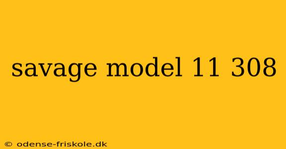 savage model 11 308