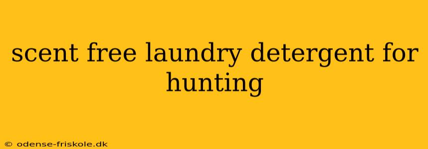 scent free laundry detergent for hunting