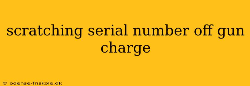 scratching serial number off gun charge