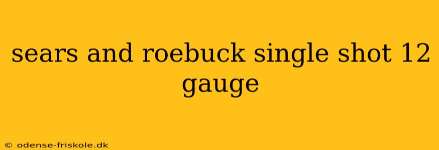 sears and roebuck single shot 12 gauge