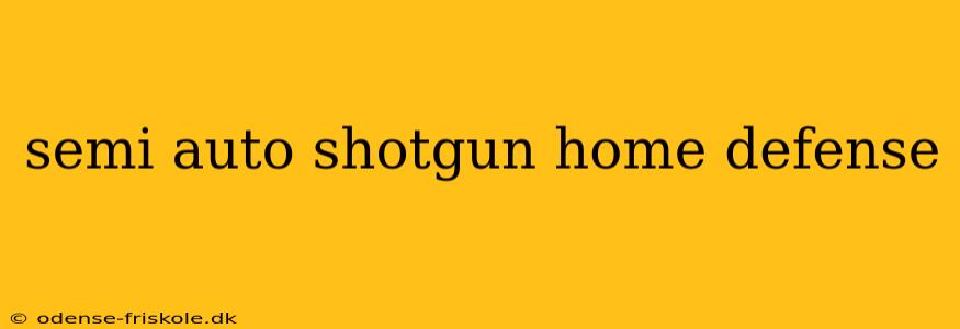 semi auto shotgun home defense