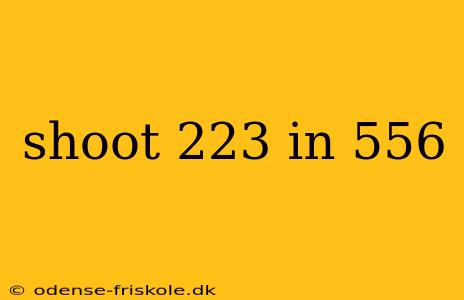 shoot 223 in 556