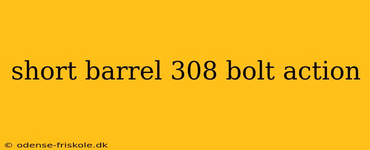 short barrel 308 bolt action