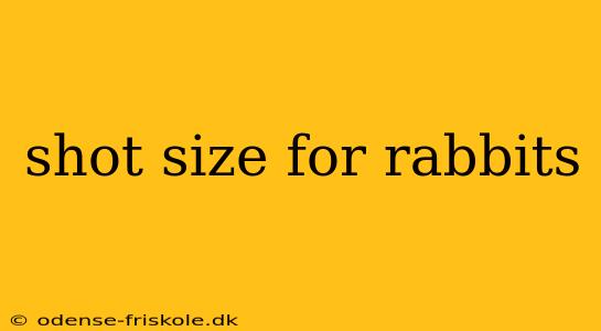 shot size for rabbits