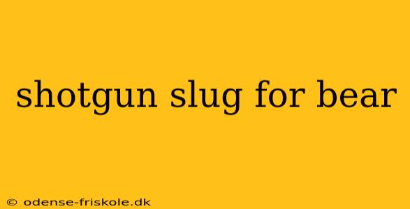 shotgun slug for bear