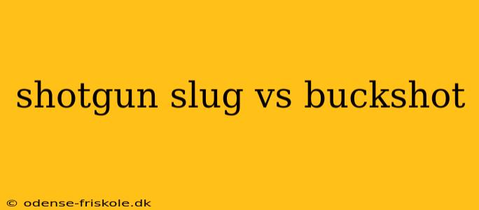 shotgun slug vs buckshot