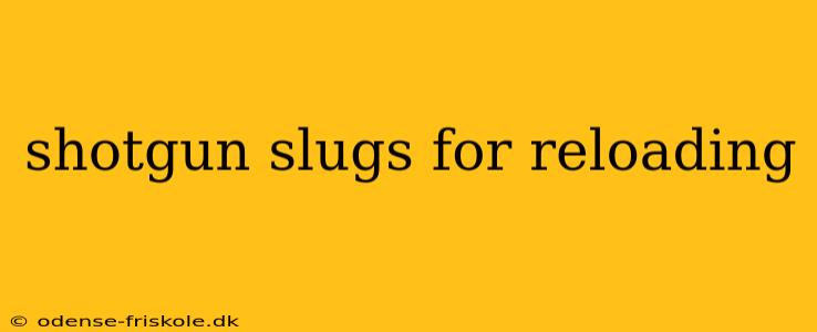 shotgun slugs for reloading