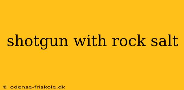 shotgun with rock salt