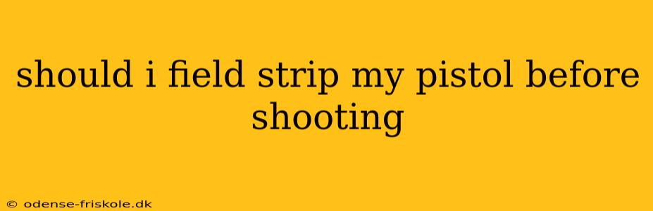 should i field strip my pistol before shooting