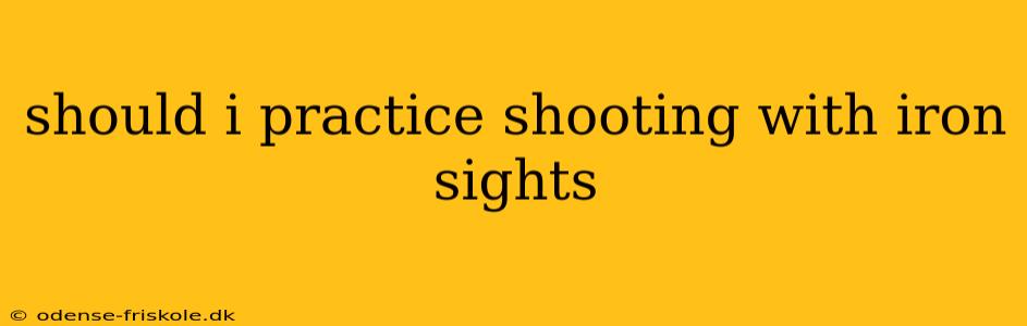 should i practice shooting with iron sights