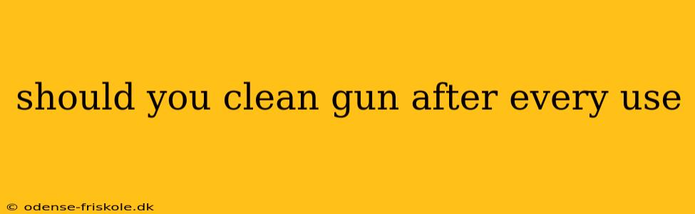 should you clean gun after every use