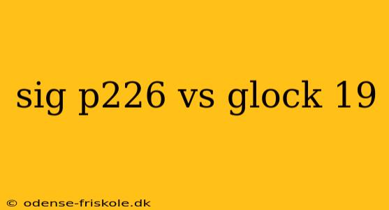 sig p226 vs glock 19