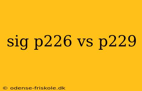 sig p226 vs p229