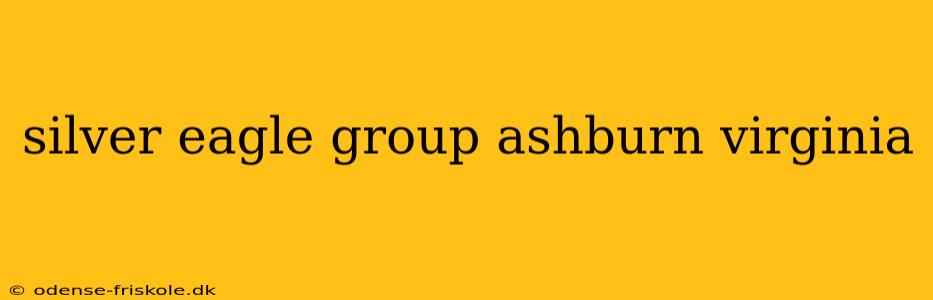 silver eagle group ashburn virginia