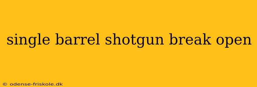 single barrel shotgun break open