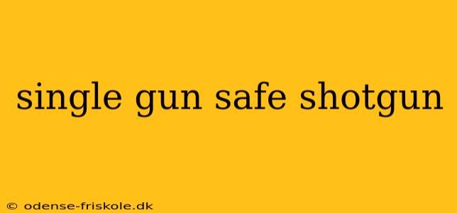 single gun safe shotgun