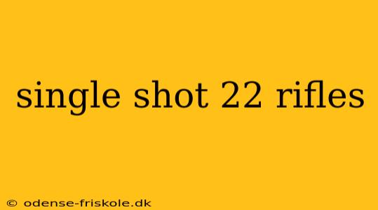 single shot 22 rifles