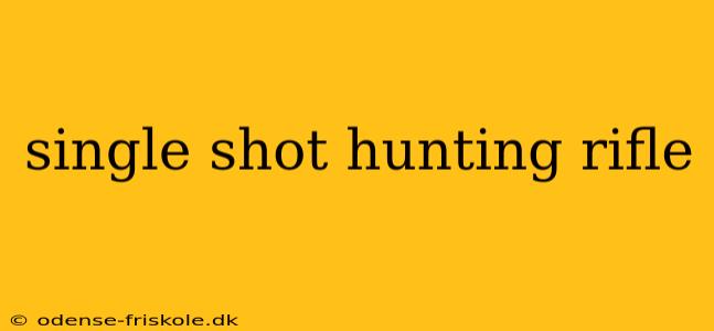 single shot hunting rifle