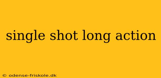 single shot long action