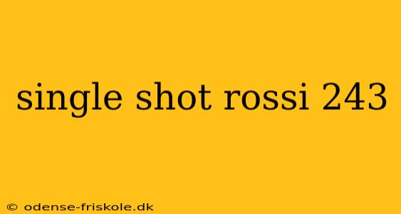 single shot rossi 243