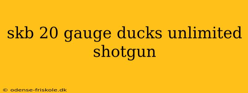 skb 20 gauge ducks unlimited shotgun