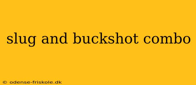 slug and buckshot combo