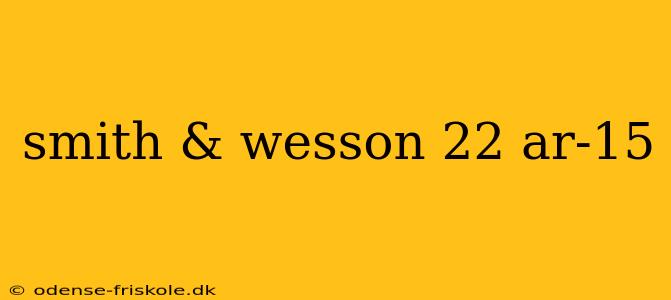 smith & wesson 22 ar-15