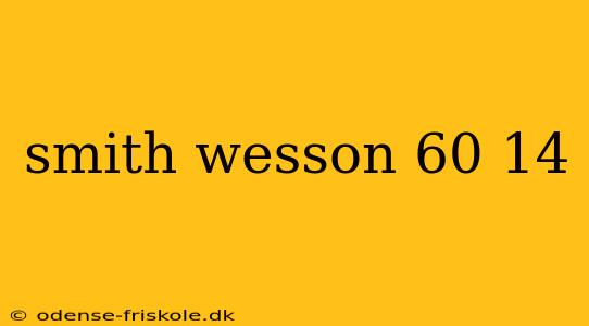 smith wesson 60 14