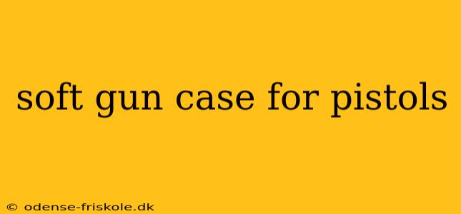 soft gun case for pistols