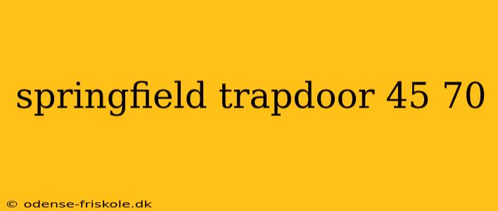 springfield trapdoor 45 70