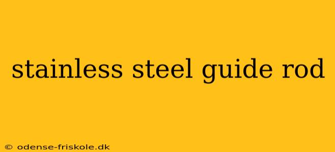 stainless steel guide rod