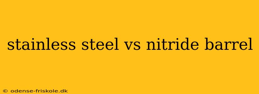 stainless steel vs nitride barrel