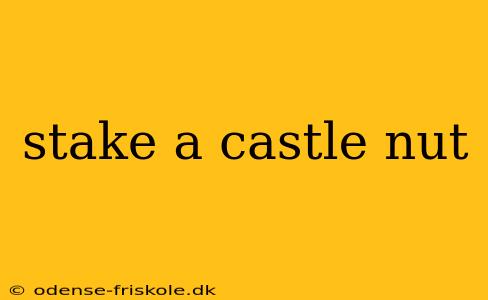 stake a castle nut