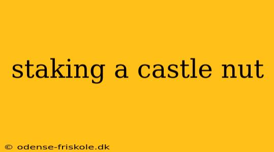 staking a castle nut