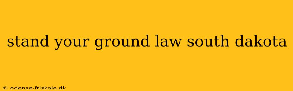 stand your ground law south dakota