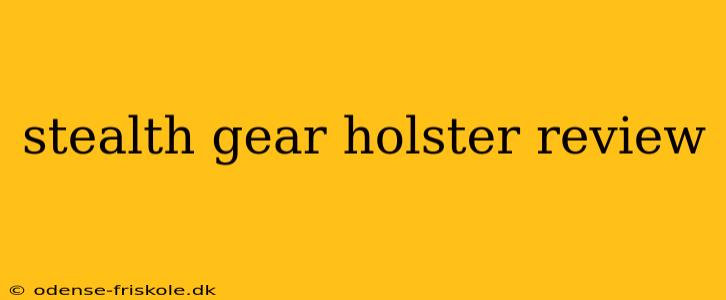 stealth gear holster review